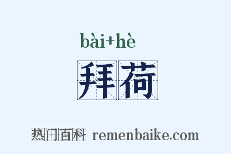 拜荷是什么意思的图片